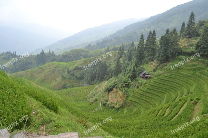 China Rice Paddies Longsheng Terraces Green