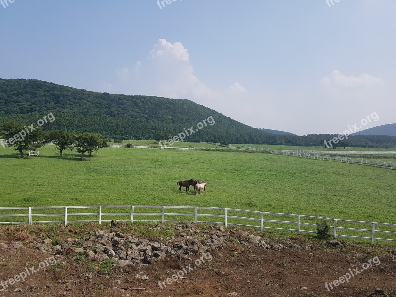 Jeju Ranch Castle Is Trying To Free Photos