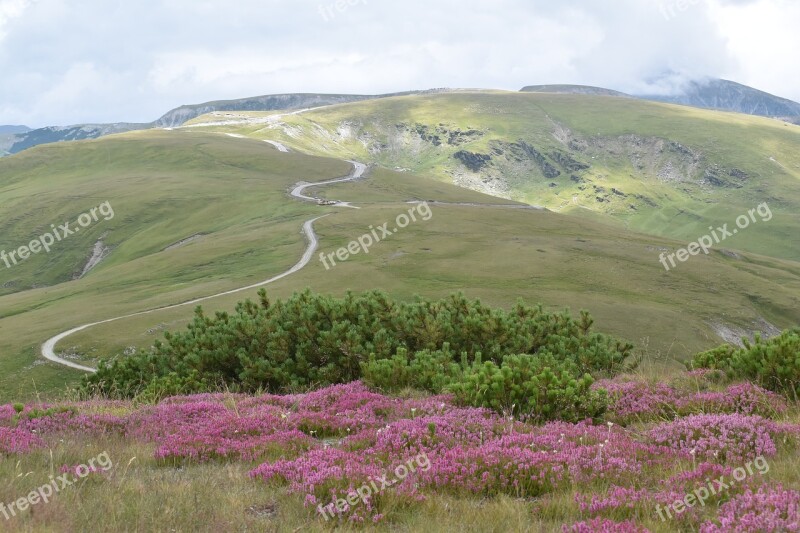 Alpine Road Mountain Path Mountain Top Mountain Edge Alpine