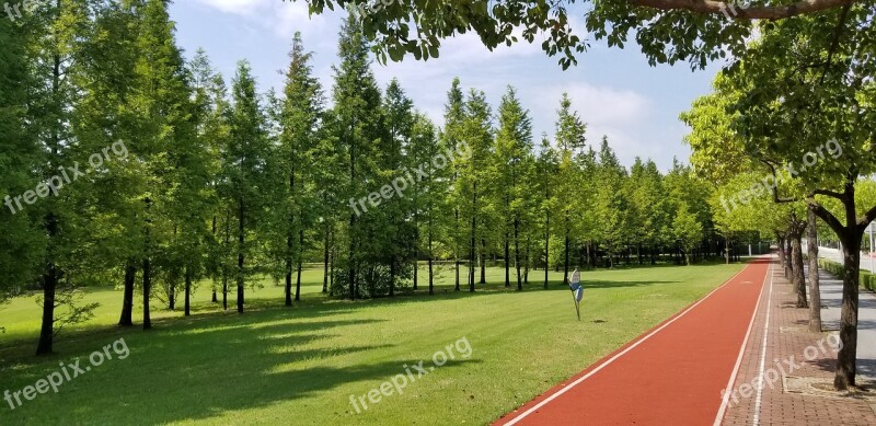 Grassland Trees Athletic Track Free Photos