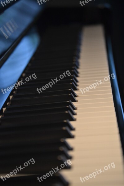 Piano Keys Music Instruments Free Photos