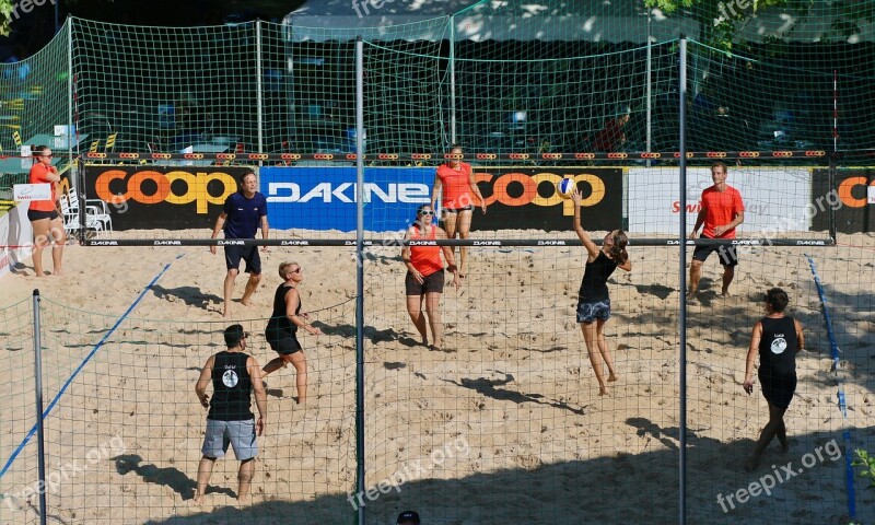 Beach Volleyball Sport Web Ball Players