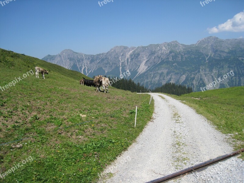 Berge Landschaft Alpe Free Photos