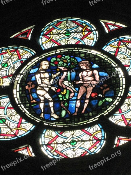 Notre Dame Paris France Stained Glass Adam And Eve