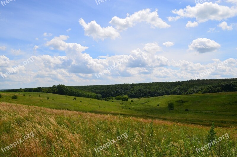 Nature Yar Forest Fields Clouds