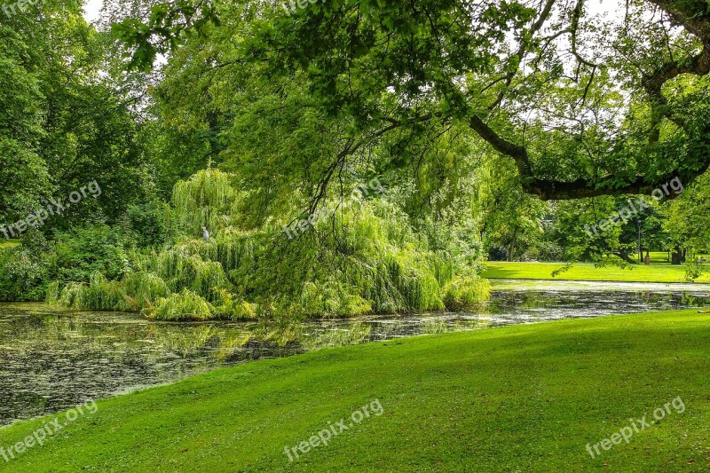 Park Garden Tree Grass Nature