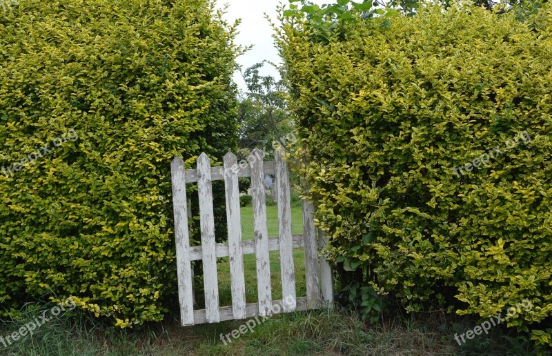 Wooden Gate Field Nature Portal Garden