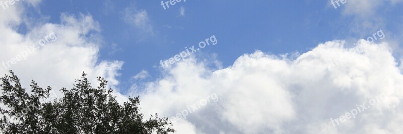 Header Banner Sky Cloud Treetop