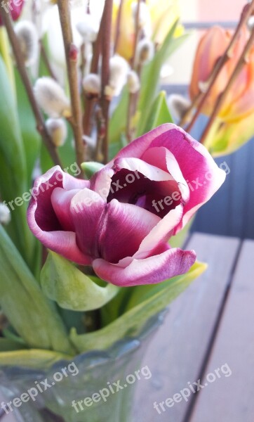 Tulip Flower Bouquet Tulips Flowers