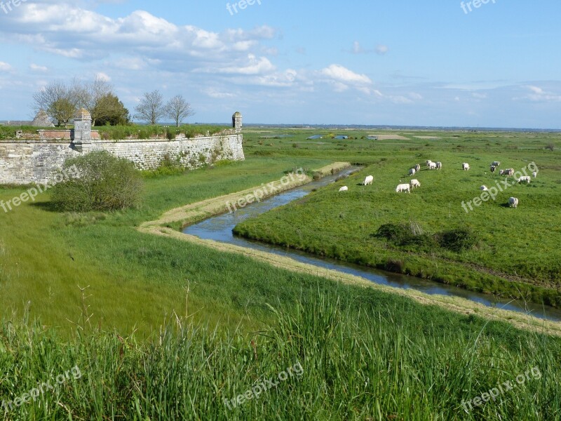 Channel Ramparts Cattle Fortifications Pierre