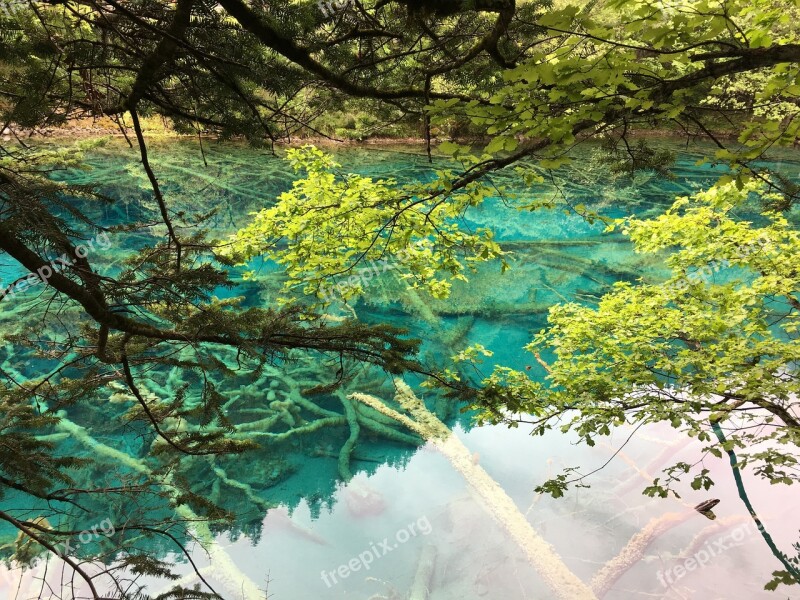 Jiuzhaigou Sichuan The Scenery Free Photos