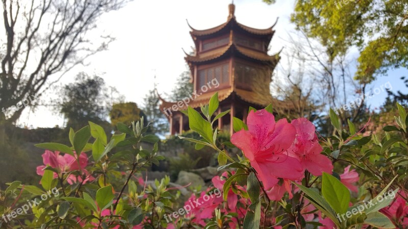 China Chinese Garden Architecture Garden Chinese