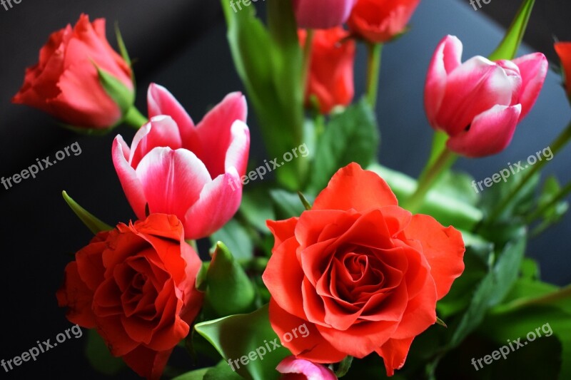 Flowers Bouquet Rose Tulip Nature