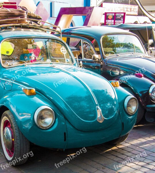 Foxy Car Cars Beetle Old Vehicle Vintage Car