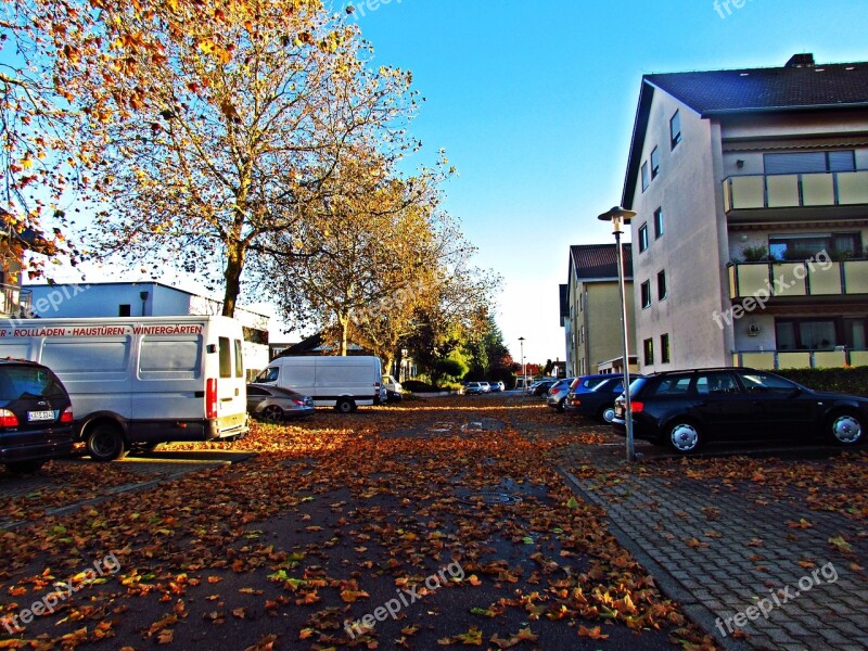 Street Autumn Foliage Autumn Gold Mood