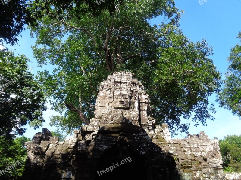 Cambodia Ruins Trees Temples Nature