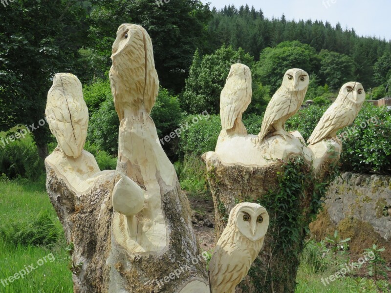 Carved Owls Wise Wood Owl Carving