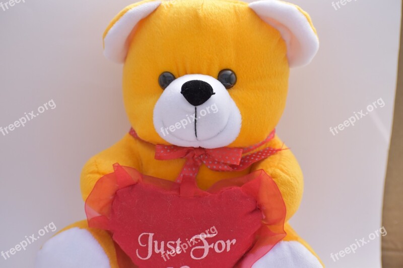 Teddy Bear Gift Teddy Soft Toy Free Photos