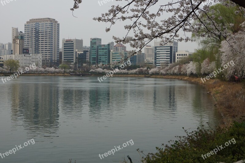 Jamsil Songpa Seokchon Lake Free Photos