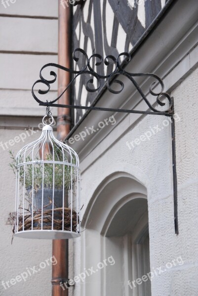 Cage Bird Cage Samurai Plant Wrought Iron