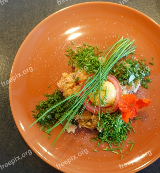 Salmon Herbs Chives Yolk Tatar