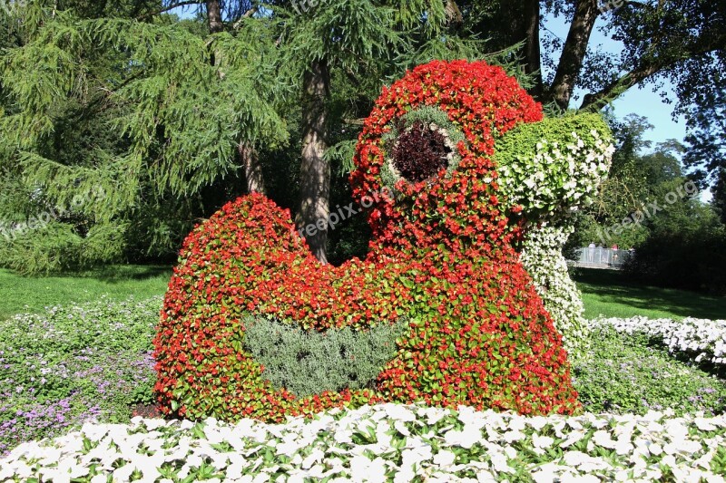 Duck Figure Flowers Colorful Cute