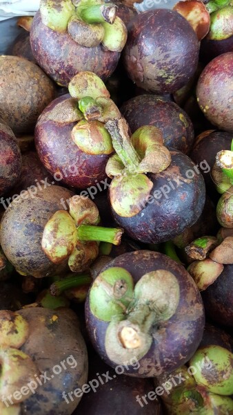 Purple Mangosteen Purple Fruits Fresh Collection