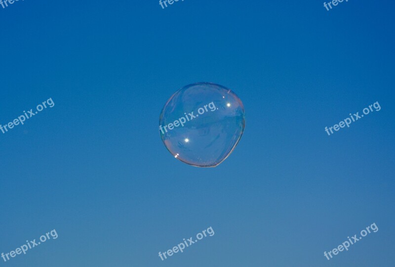 Soap Bubble Transparency Blue Sky Free Photos