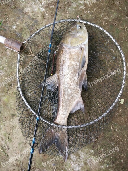 Carp Fishing Net Fish Hook