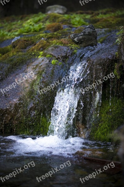 Creek Water Mountain Altai Russia Stones