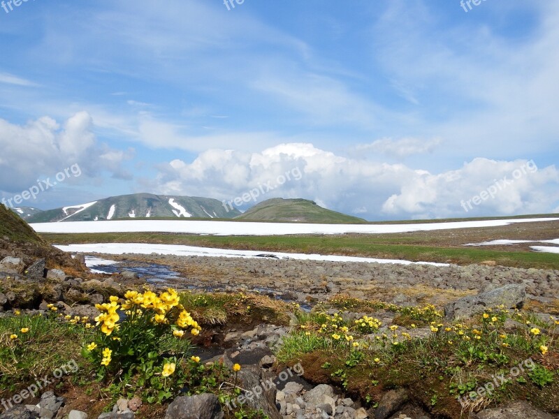 Creek Mountain Plateau Flowers Snow The Snow