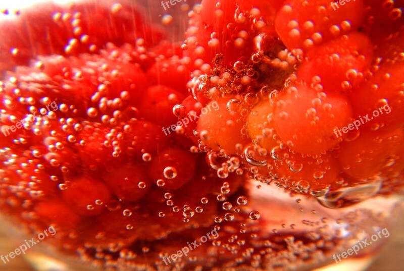 Blackberries Raspberries Soda Bubbles Free Photos