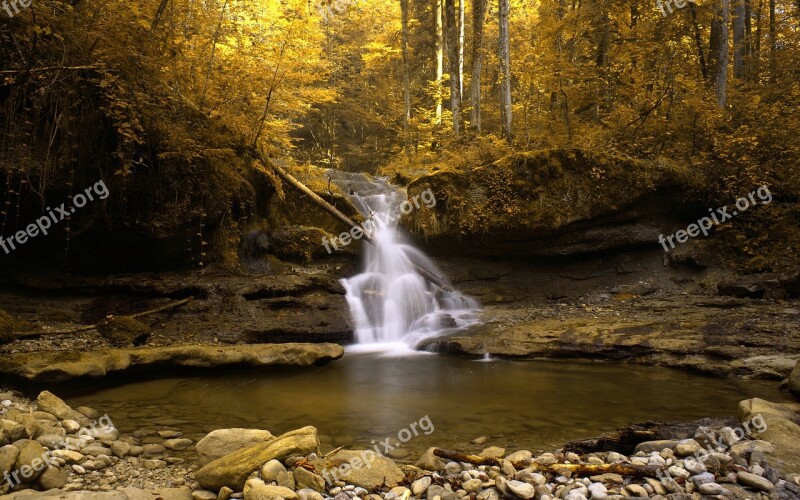 Forest Nature Small Waterfall Bach Free Photos