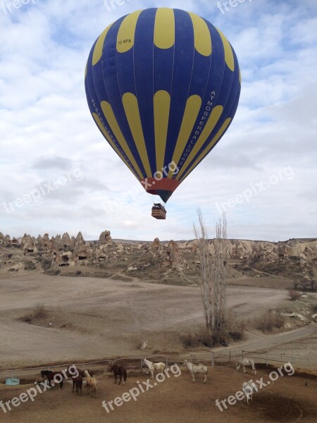 Balloon Balloons Ballooning Horse Horses