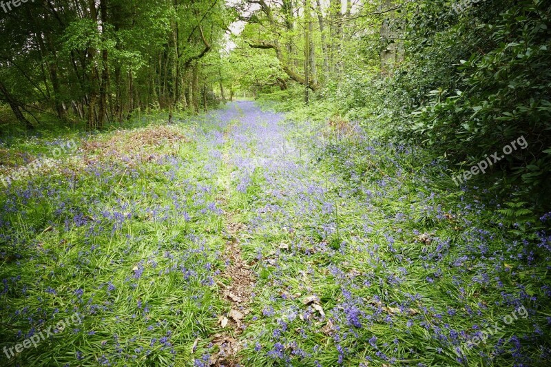 English Countryside Rural Walk West Sussex Landscape