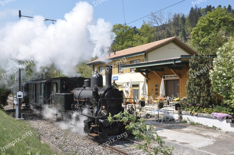 Dvzo Steam Locomotive Steam Train Neuthal Railway