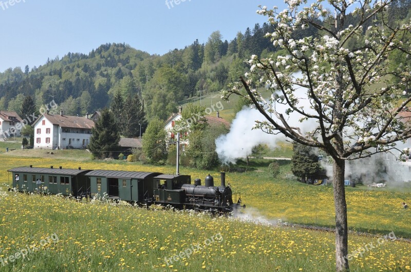 Dvzo Steam Locomotive Steam Train Neuthal Nostalgia