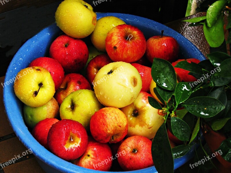 Apples A Collection Of Wet Rain Drops