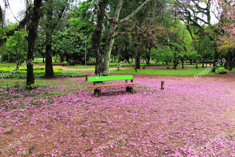 Square Porto Alegre Brazil Nature Eventide