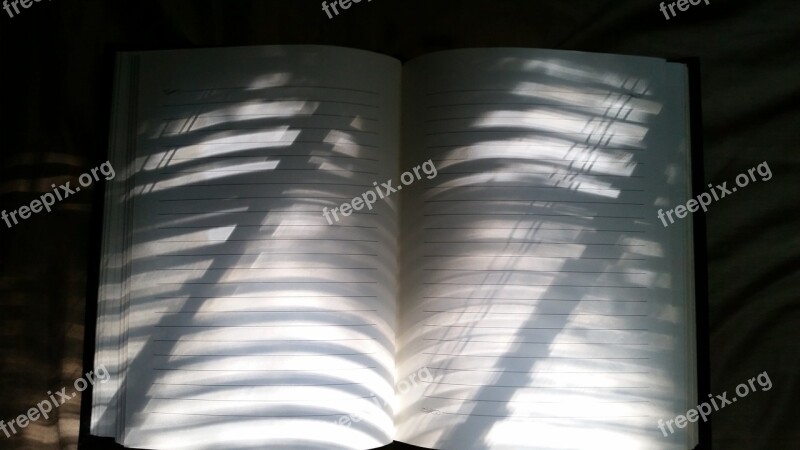 Notebook Lined Lines Sunlight Paper