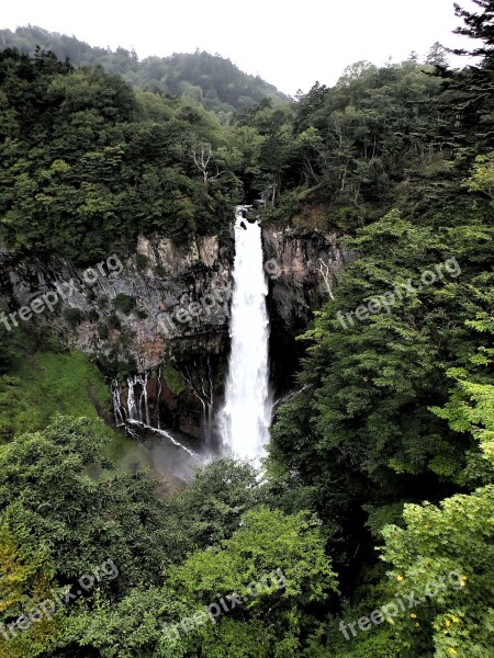 Japan Waterfall River Water Forest