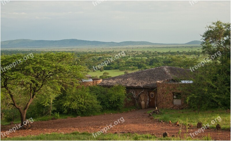 Tanzania Serengeti Safari Free Photos