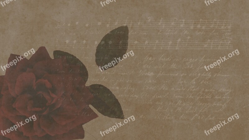 Red Rose Background With Red Rose Old Screen Saver Old Background