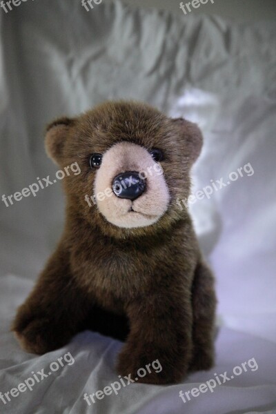 Stuffed Animal Toy Bear Brown Bear Children's Toy Decorative Object