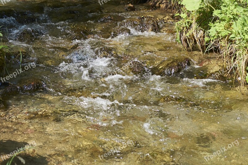 Creek Water Purity Nature Slovakia