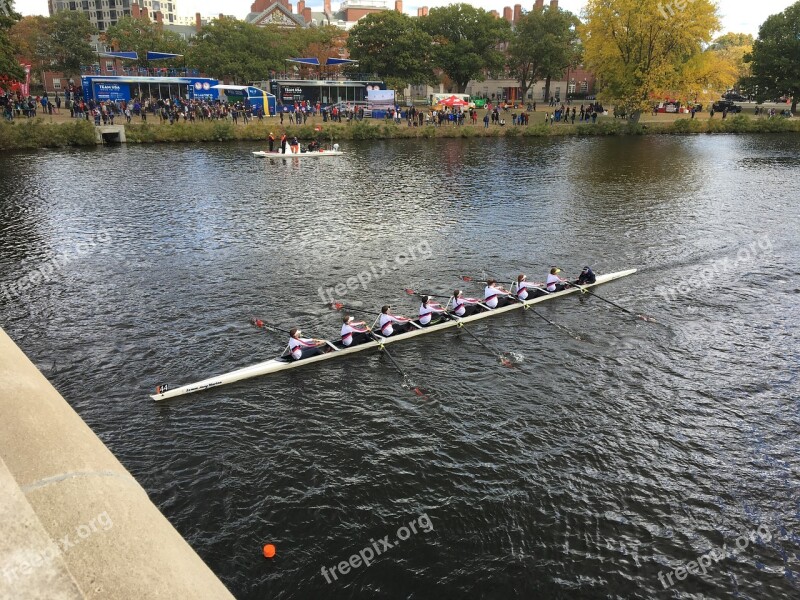 Regatta Rowing Race Boat Row