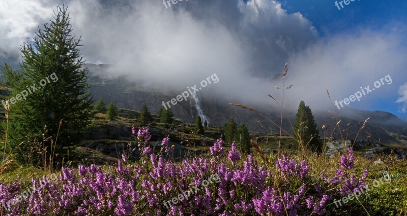 Forest Mountain Panorama Landscape Nature