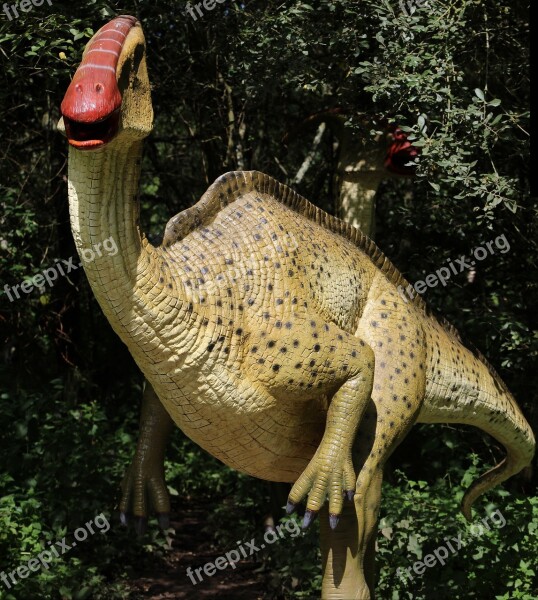 Dinosaur Reptile Prehistoric Raptor Free Photos