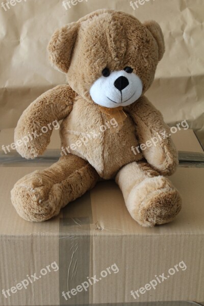 Bear Teddy Soft Toy Cute Fur