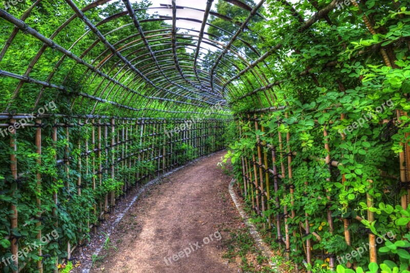 Tunnel Flowers Park Future Their Destination